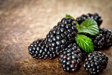 新鲜的黑莓开胃浆果