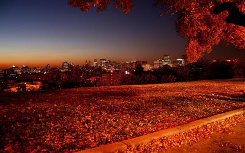 在城市的秋天的夜晚