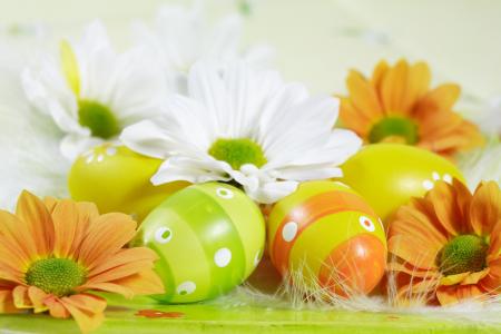 复活节的花之间的鸡蛋