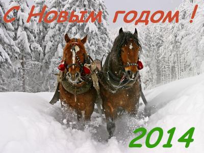新年快乐2014年，马匹穿过雪
