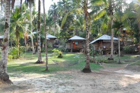 在酸值Kood海岛，泰国上的棕榈树中的小屋