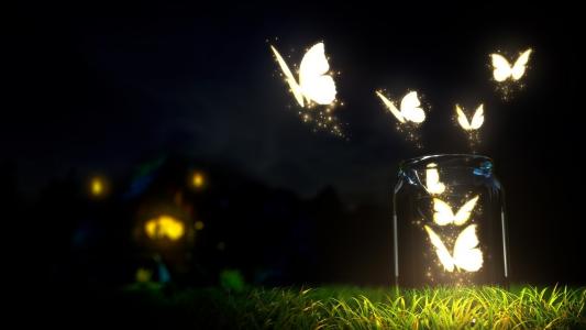 在晚上发光的蝴蝶
