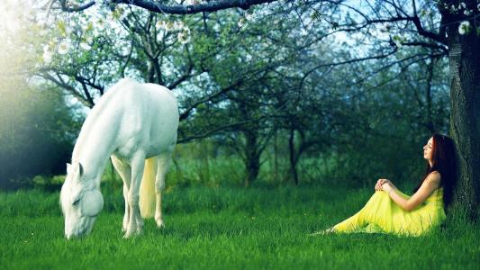 白色的马和女孩穿着黄色的衣服