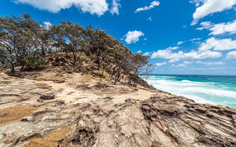 北部Stradbroke海岛，昆士兰，澳大利亚