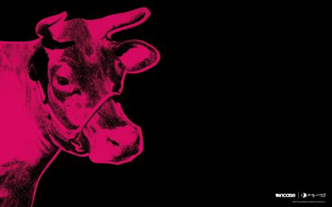 绘画安迪·沃霍尔在黑色背景上的红色母牛