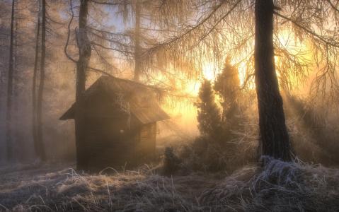 在寒冷的森林中的狩猎小屋