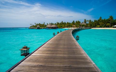 木墩在热带地区，马尔代夫的蓝色海洋