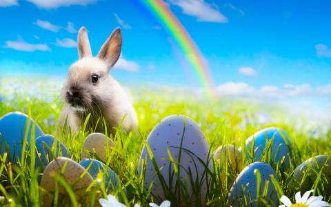 兔子在复活节彩虹的背景上