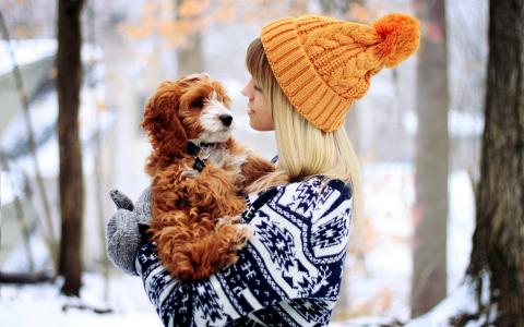 一条毛衣和一条红色的狗的女孩