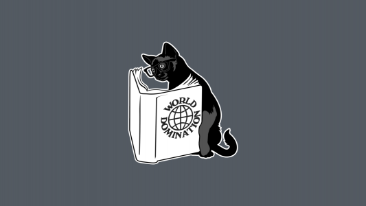 猫读一本书，灰色的背景