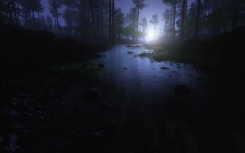 小河在夜间森林里