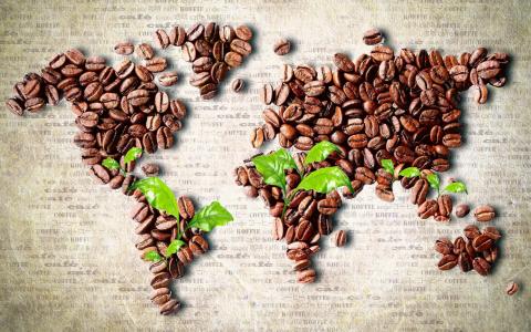 世界地图的咖啡豆