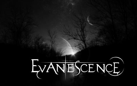与Evanescence的夜景