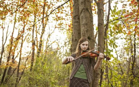 在秋天的小树林提琴手