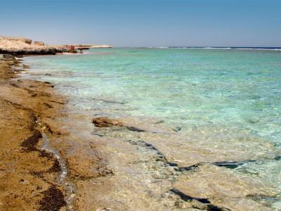 在El Quseir，埃及度假村的岩石海滩