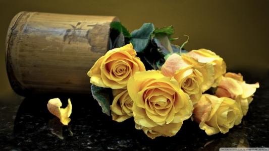 在一张黑暗的桌子上的黄玫瑰
