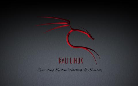 红龙卡利Linux