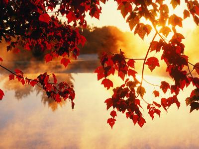 日落在秋天的湖面