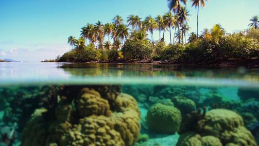 透明的水离开热带岛屿的海岸