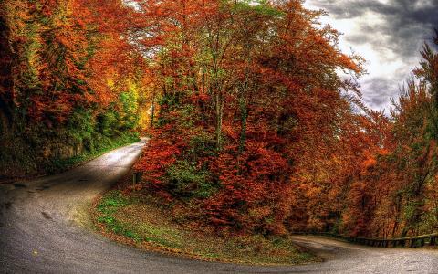 在山路上的秋天