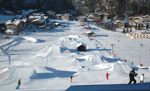 在萨尔巴赫辛特格兰滑雪胜地滑雪，奥地利