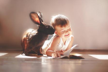 一个小男孩读一本书的大黑兔子