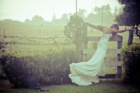 雾，礼服，婚礼，新娘