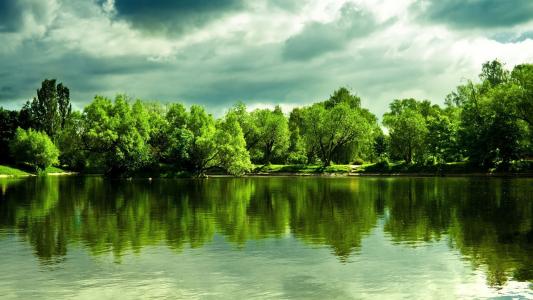 绿树倒映在湖面上