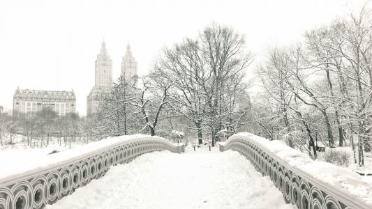 纽约中央公园的桥梁