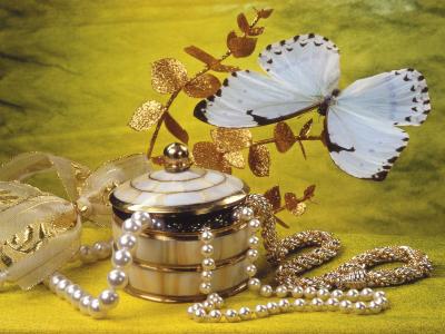 蝴蝶和装饰品