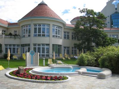 奥地利Bad Tatzmannsdorf酒店前的游泳池