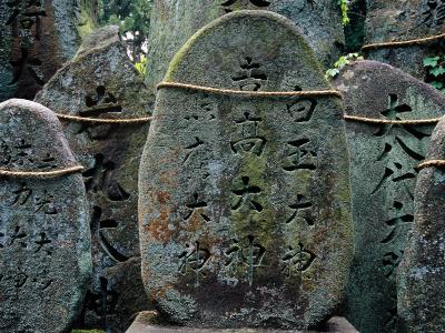 日本京都Fushimi-inari Taishy的神社
