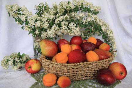 新鲜的苹果，梨，李子和杏子在白色的桌子上的柳条篮子里