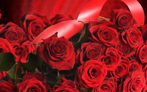 3月8日与红丝带的红玫瑰