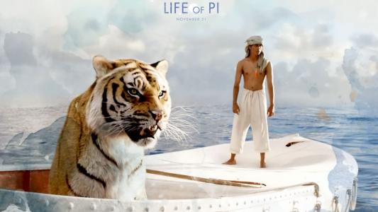 皮（琵琶）的生活，一个男孩和一个老虎