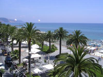 棕榈树在意大利洛阿诺的海滩上