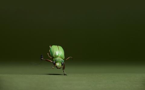 跳舞的甲虫