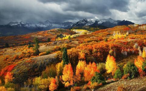 秋天在美国科罗拉多州山区