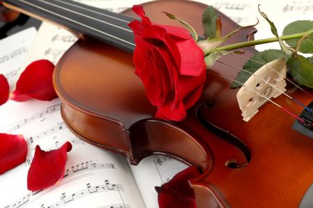 叶子，红玫瑰，玫瑰花瓣，小提琴，笔记