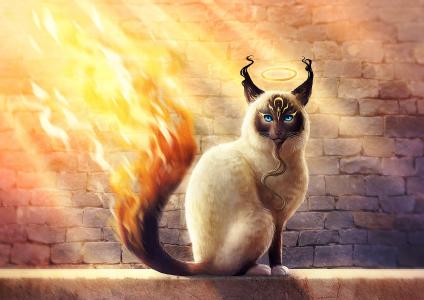 魔法猫与火热的尾巴，幻想
