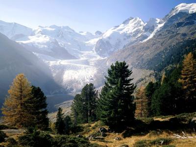 Piz Bernina，冰川Monteratsch，恩加丁