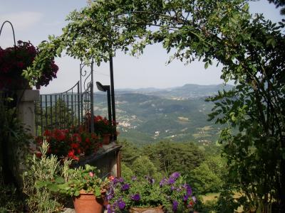 意大利蒙泰卡蒂尼温泉度假村的花园俯瞰着山脉