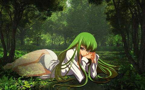 在Geas的动画代码中的绿发仙女