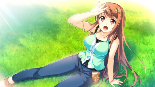 棕色头发的女人坐在草坪上的动漫女孩