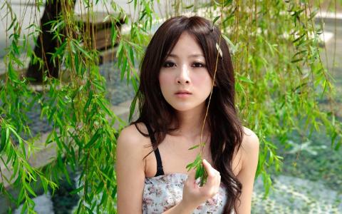 柳树枝中的日本女孩