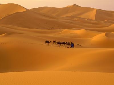 摩洛哥糖沙漠