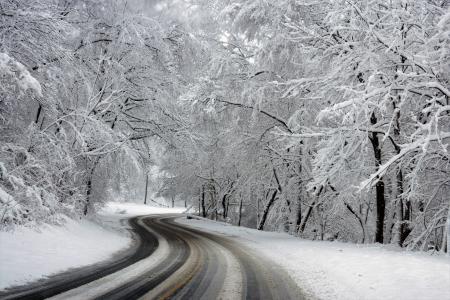 树木覆盖着冬天的路附近的树冰