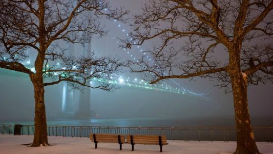 在雾中桥的灯光