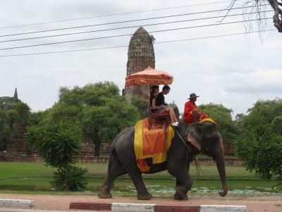 大象骑在泰国清迈度假村