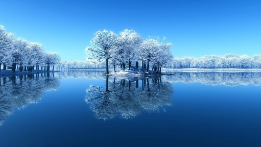 在湖中的一个小岛上覆盖着白霜的树木